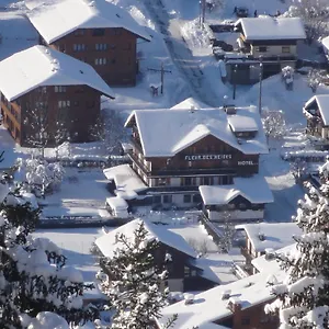 Fleur Des Neiges Hotel Morzine